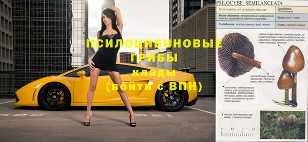 2c-b Абинск
