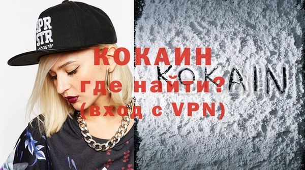 индика Переславль-Залесский