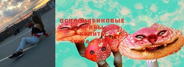 2c-b Абинск