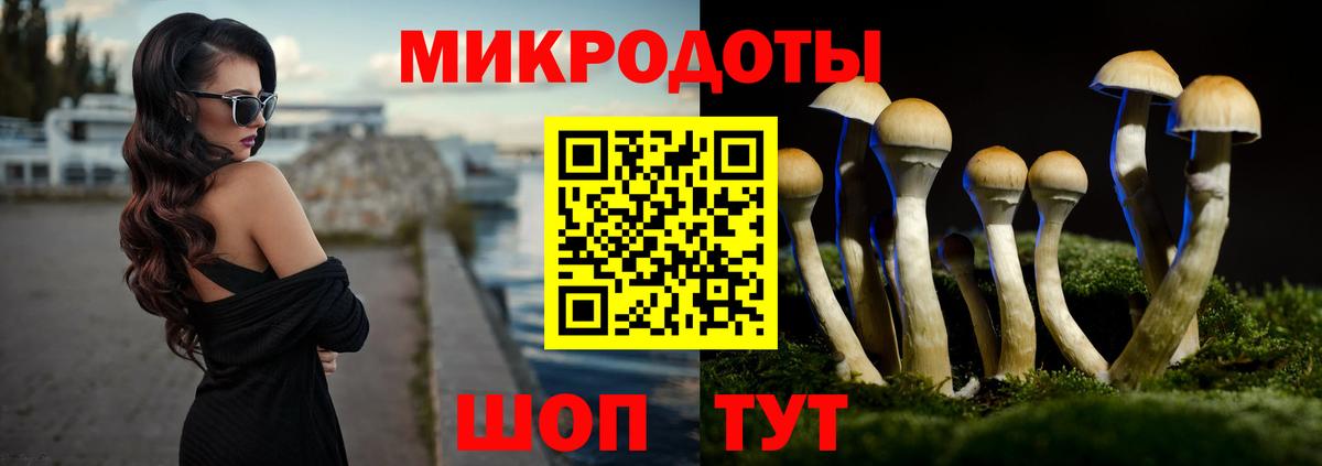 Старая Русса  Галлюциногенные грибы Magic Shrooms  Вход с VPN 