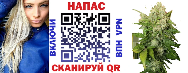 Бошки Шишки планчик  ссылка на мегу ссылка  Старая Русса 